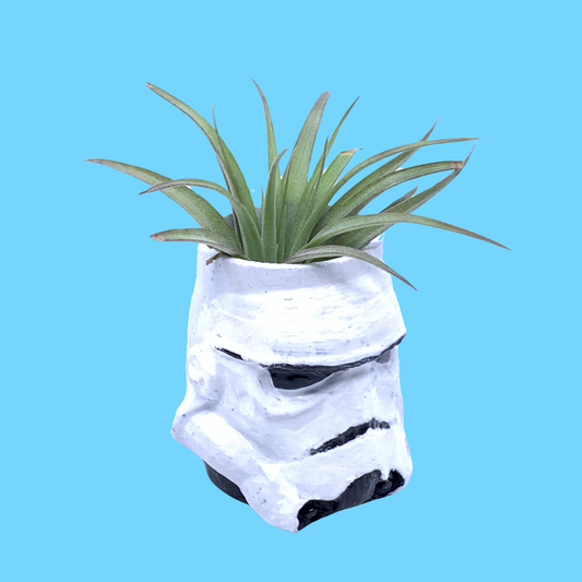 Cool Character Planter No. 7